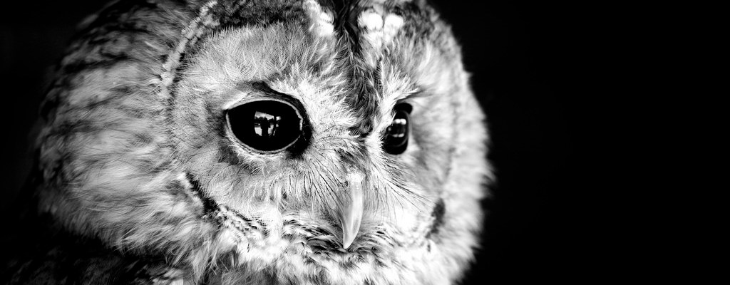 Image by Stuart Richards, CC. https://www.flickr.com/photos/left-hand/2548940131/