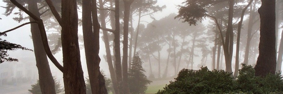 Image by Michael Fraley, CC https://www.flickr.com/photos/mrfraley