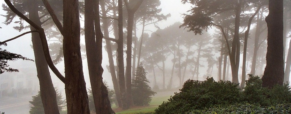 Image by Michael Fraley, CC https://www.flickr.com/photos/mrfraley